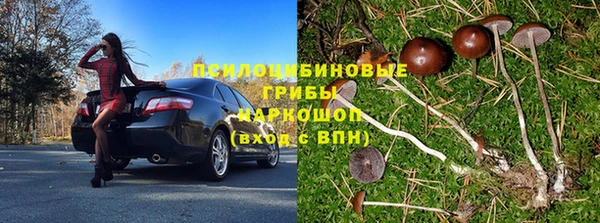 амф Алексеевка