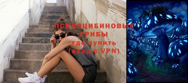 эйфоретик Алексин